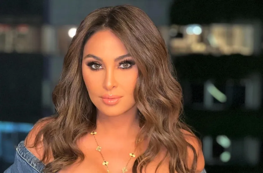 تذاكر حفلة إليسا في دبي